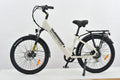 Revolution Explorer MKII E-Bike