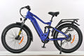 Revolution Beast E-Bike