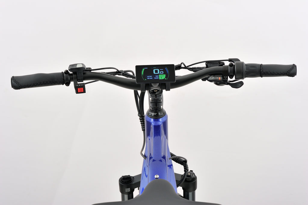 Revolution Beast™ E-Bike