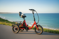 Revolution Mini E-Trike Foldable - With Helmet